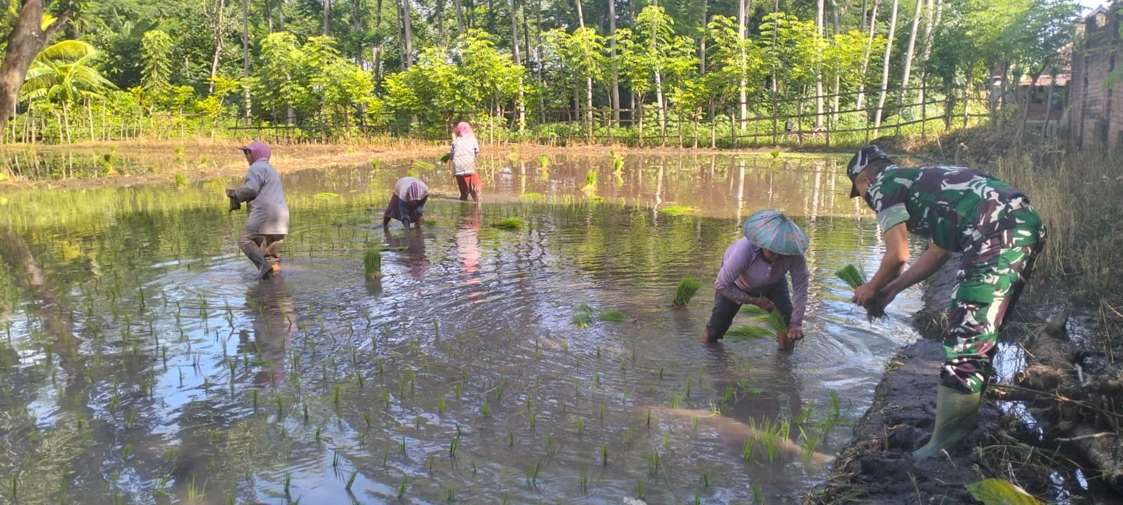 Satgas TMMD Ke-128 Kodim 0820 Melakukan Pendampingan Kepada Kelompok Petani 