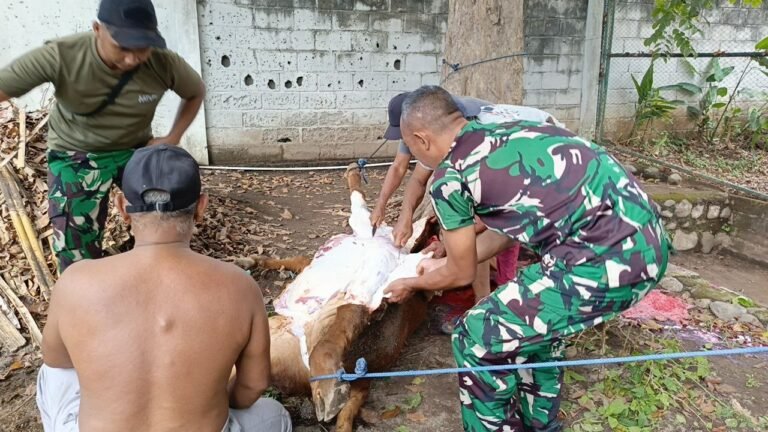Penuh Khidmat Dan Kebersamaan Kodim 0825/Banyuwangi Gelar Shalat Idul Adha Dan Penyaluran Hewan Qurban